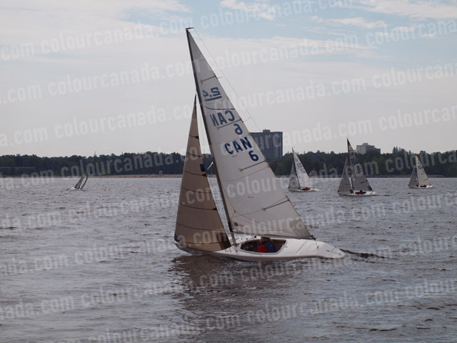 2.4 m Sailboat Racing (1) Cheap Stock Photo