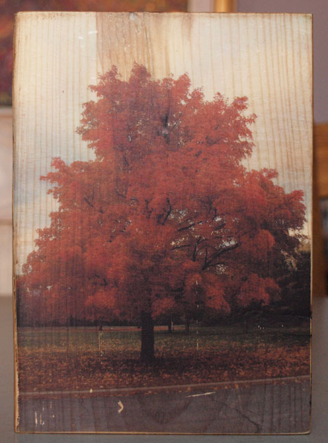 Original Photo Print | Autumn Red Maple Tree | Reclaimed Wood - Click Image to Close