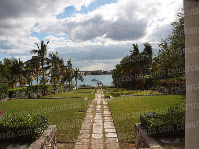 Bahamas (1) Path to Ocean Paradise | Cheap Stock Photo