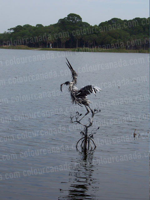 Bird Sculpture in a Lake | Cheap Stock Photo
