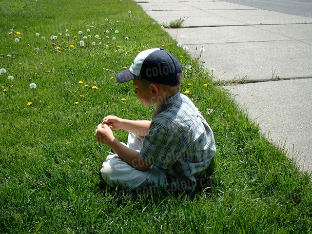 Boy Sitting & Thinking in the Grass | Cheap Stock Photo