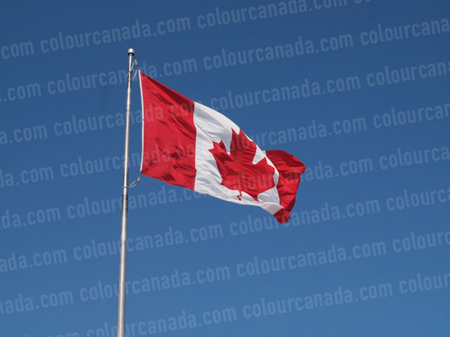 Canadian Flag | Cheap Stock Photo