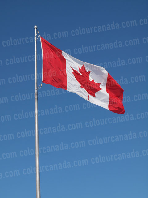 Canadian Flag Portrait | Cheap Stock Photo
