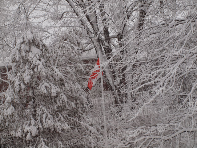 Canadian Flag (5) Winter | Cheap Stock Photo
