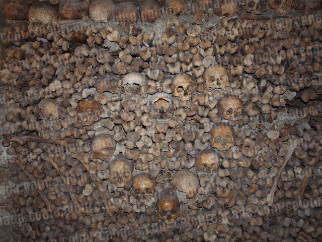 Catacombes (1) Wall of Bones | Cheap Stock Photo