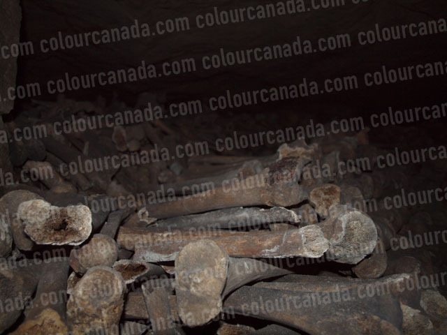 Catacombs (2) Bones Up Close | Cheap Stock Photo