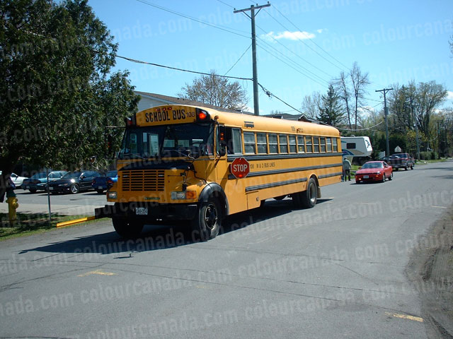School Bus at a Stop | Cheap Stock Photo
