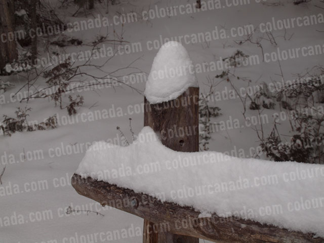 Snow on a Rustic Fence (1) | Cheap Stock Photo - Click Image to Close