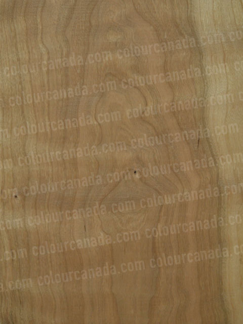 Wood Texture (17) | Cheap Stock Photo