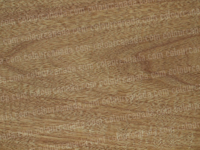 Wood Texture (27) | Cheap Stock Photo