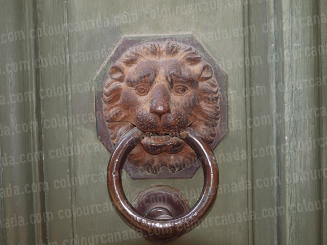 Architectural Detail Lion's Head Knocker | Cheap Stock Photo