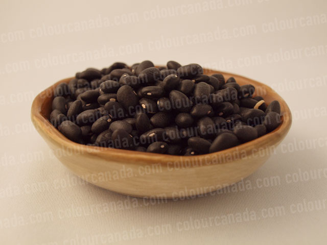 Black Beans in a Bowl | Cheap Stock Photo
