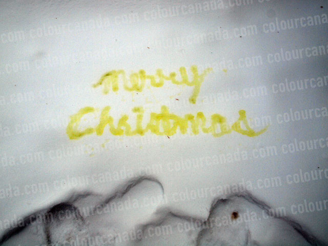 Merry Christmas Pee in the Snow | Cheap Stock Photo