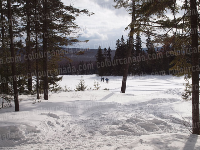 Cross Country Skiers on a Lake | Cheap Stock Photo