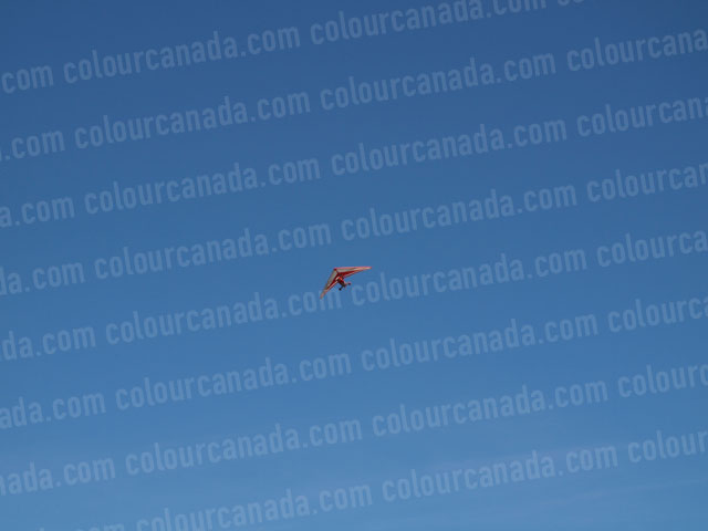 Hang Glider or Ultra Light Plane | Cheap Stock Photo