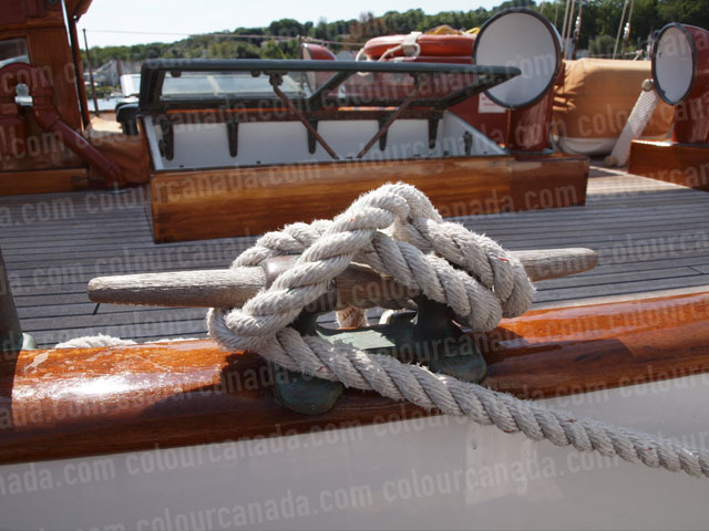 Vintage Horn Cleat with Braided Rope | Cheap Stock Photo