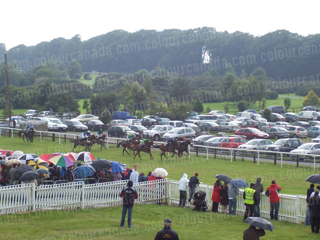 Horse Race in Light Rain Ireland | Cheap Stock Photo