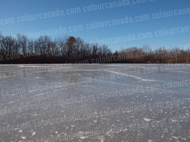 Ice on a Pond | Cheap Stock Photo