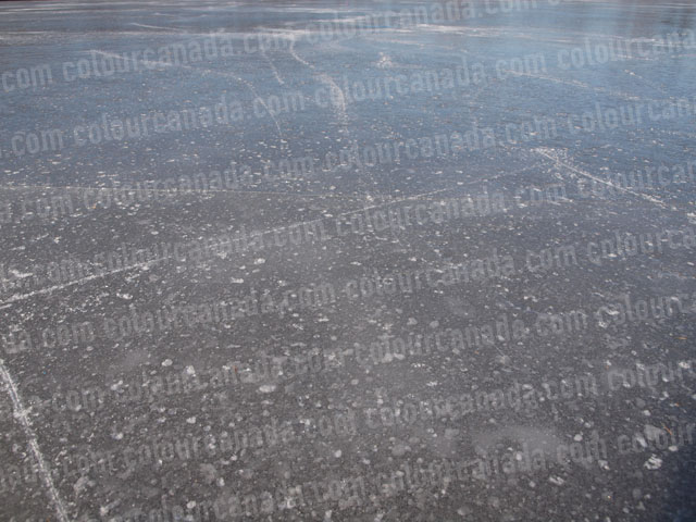 Ice on Pond (2) | Cheap Stock Photo