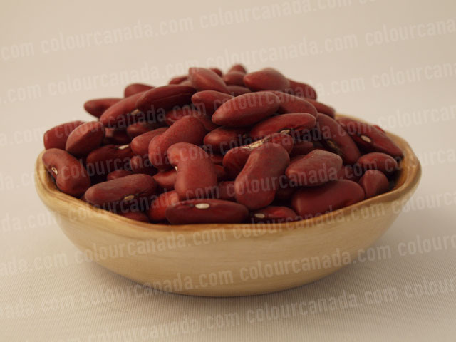 Kidney Beans in a Bowl | Cheap Stock Photo