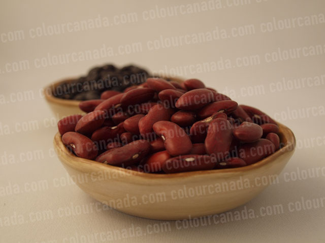 Kidney and Black Beans in Bowls | Cheap Stock Photo