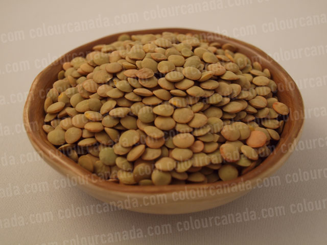 Lentils in a Bowl | Cheap Stock Photo
