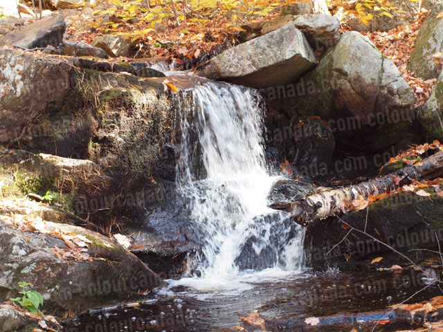 Waterfall in a Creek with Changing Leaves | Cheap Stock Photo