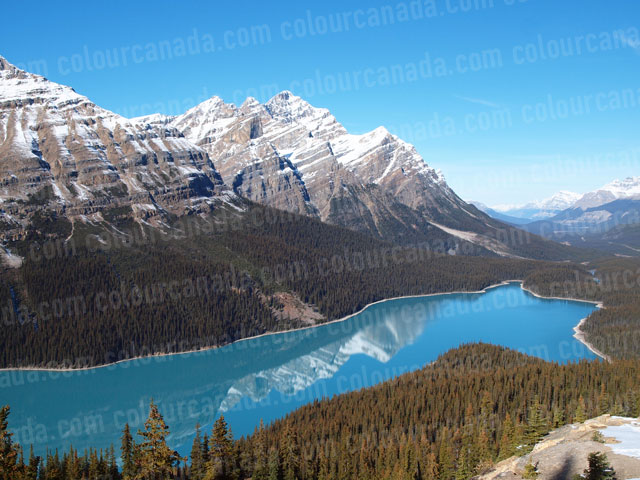 Peyto Lake, Alberta, Canada | Cheap Stock Photo
