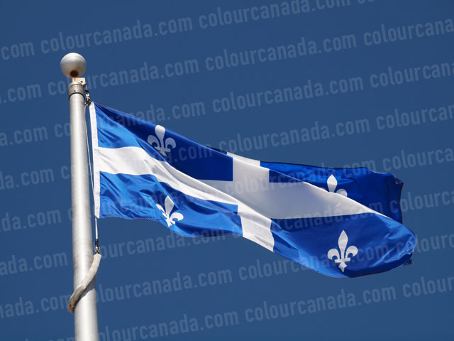 Quebec's Flag (1) | Cheap Stock Photo