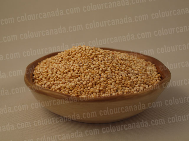 Quinoa in a Bowl | Cheap Stock Photo