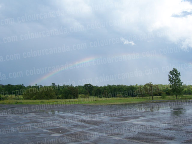Rainbow | Cheap Stock Photo