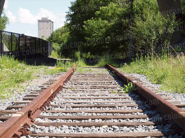 Train Tracks (1) | Cheap Stock Photo