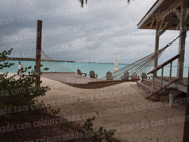 Tropical Hammock (1) Beach Paradise | Cheap Stock Photo