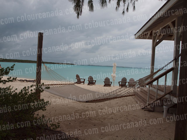 Tropical Hammock (2) Beach Paradise | Cheap Stock Photo