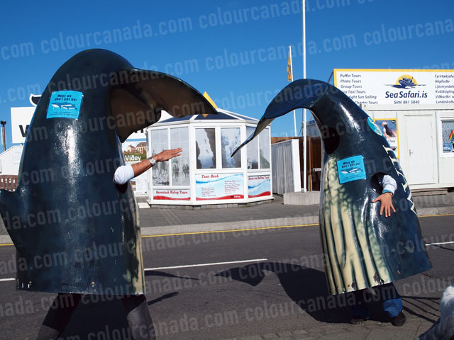 Play Fighting Whale Tails | Cheap Stock Photo