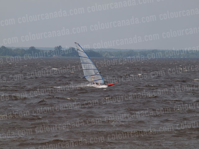 Windsurfer (2) Orange with Clear Sail | Cheap Stock Photo