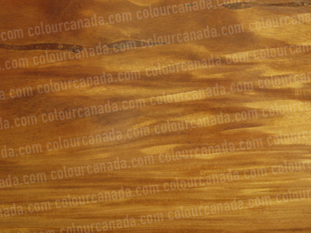 Wood Texture (12) | Cheap Stock Photo