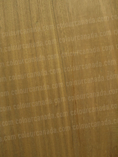 Wood Texture (13) | Cheap Stock Photo