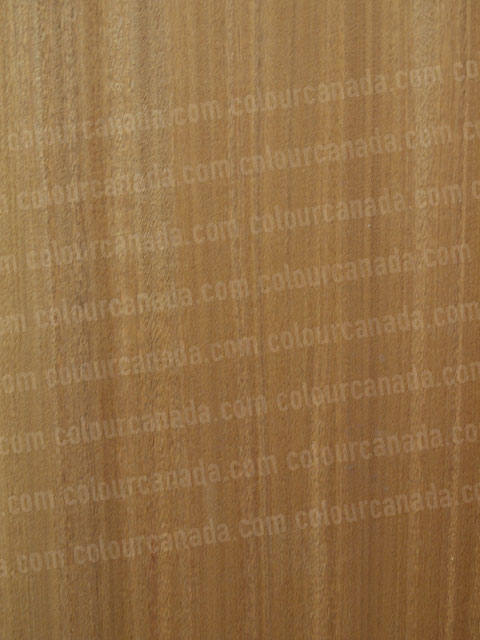 Wood Texture (14) | Cheap Stock Photo