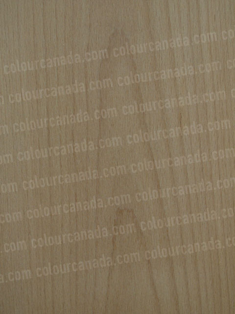 Wood Texture (16) | Cheap Stock Photo