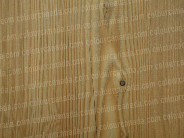 Wood Texture (18) | Cheap Stock Photo