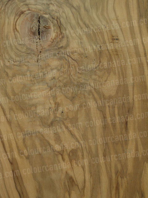 Wood Texture (23) | Cheap Stock Photo