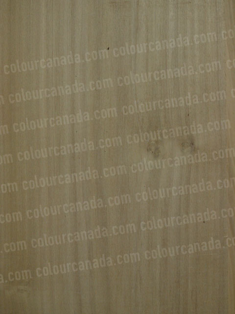 Wood Texture (3) | Cheap Stock Photo