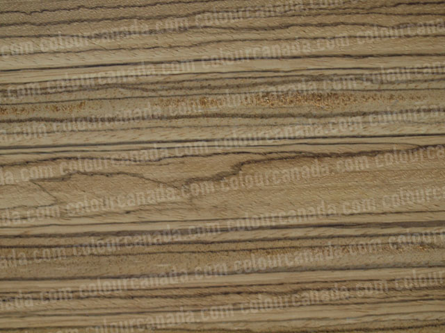 Wood Texture (4) | Cheap Stock Photo