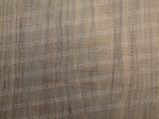 Wood Texture (6) | Cheap Stock Photo