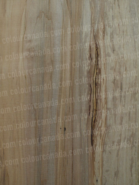 Wood Texture (8) | Cheap Stock Photo